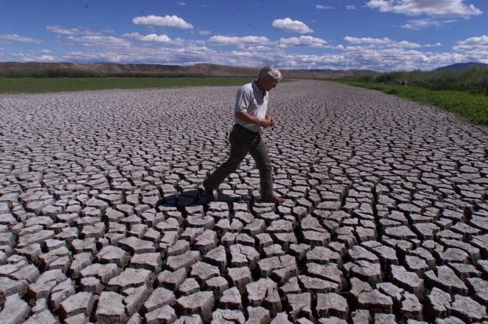 Phil Norton, manager of the Klamath Basin National Wildlife Refuges in Tulelake, Calif., on July 17, 2001, walks across the mud flats that were created when water from the Klamath River was cut off.